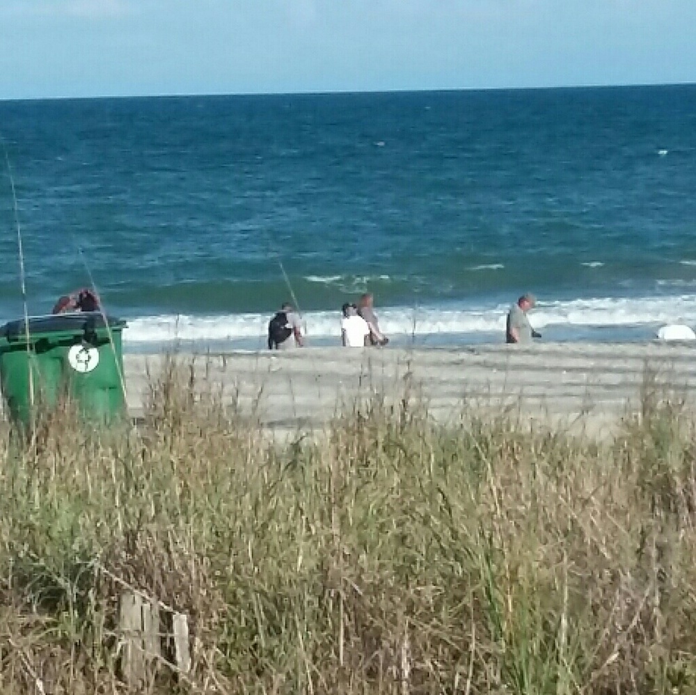 Meet your Posher, Willie